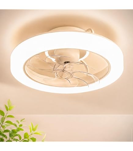 Amazon.co.jp : 「節電対策」シーリングファンライト 2026新登場